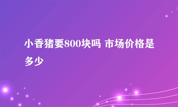 小香猪要800块吗 市场价格是多少