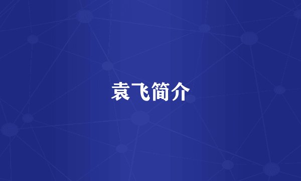 袁飞简介