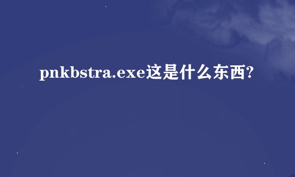 pnkbstra.exe这是什么东西?