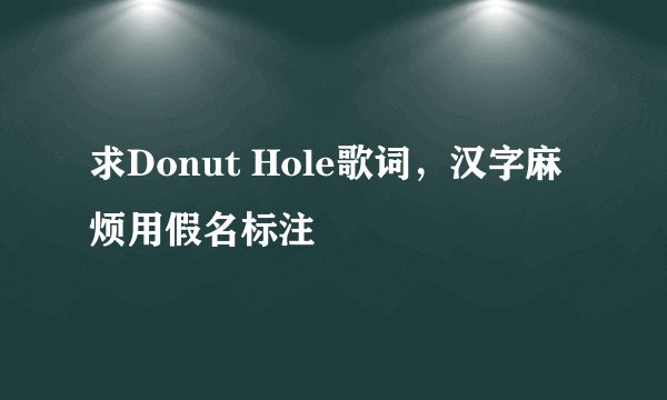 求Donut Hole歌词，汉字麻烦用假名标注