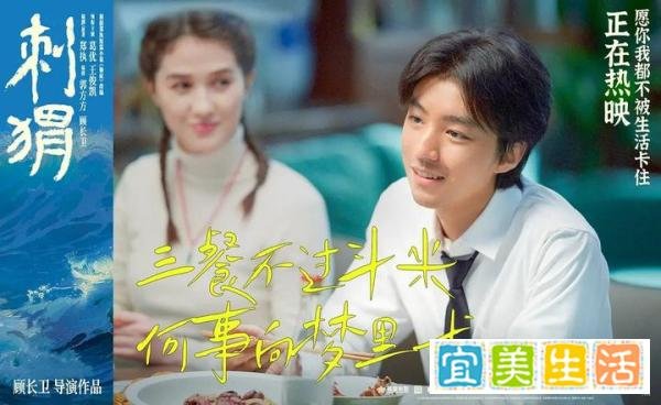 《刺猬》：人生被卡住并不可怕，看周正如何破局，找到自我
