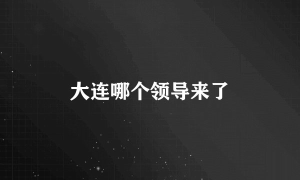 大连哪个领导来了