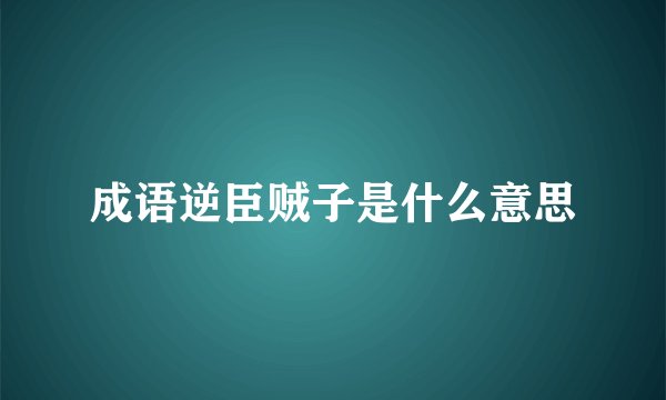 成语逆臣贼子是什么意思