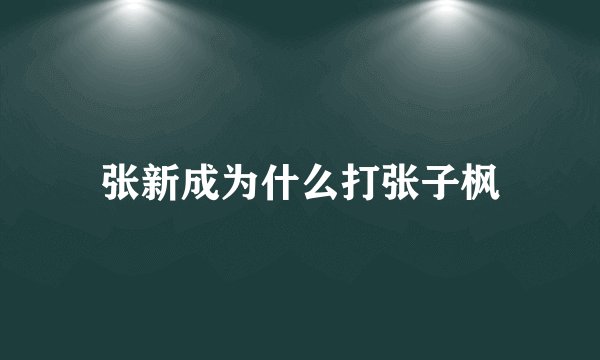 张新成为什么打张子枫