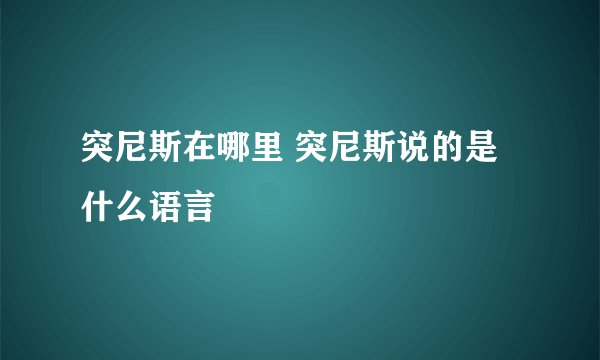突尼斯在哪里 突尼斯说的是什么语言
