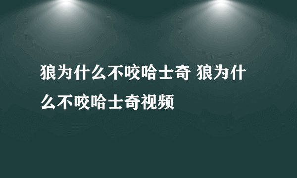 狼为什么不咬哈士奇 狼为什么不咬哈士奇视频