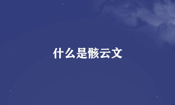 什么是骸云文
