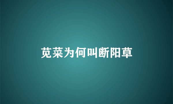 苋菜为何叫断阳草