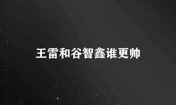 王雷和谷智鑫谁更帅