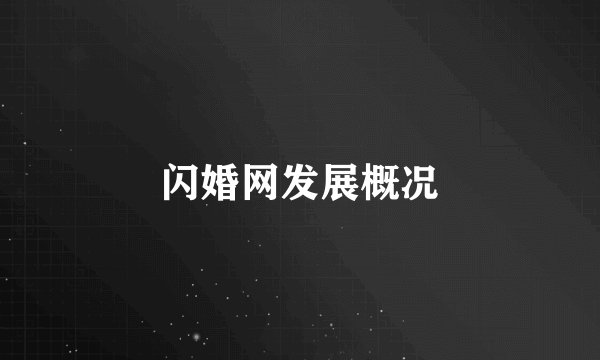 闪婚网发展概况