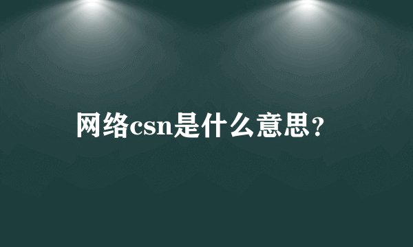 网络csn是什么意思?