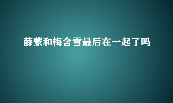 薛蒙和梅含雪最后在一起了吗