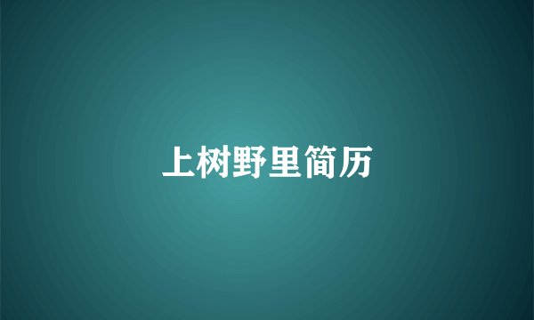 上树野里简历
