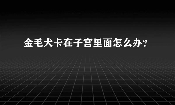 金毛犬卡在子宫里面怎么办?