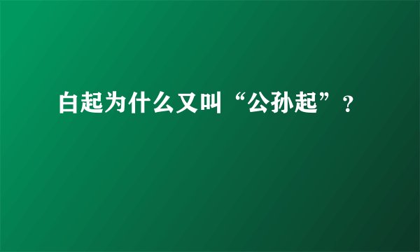 白起为什么又叫“公孙起”?