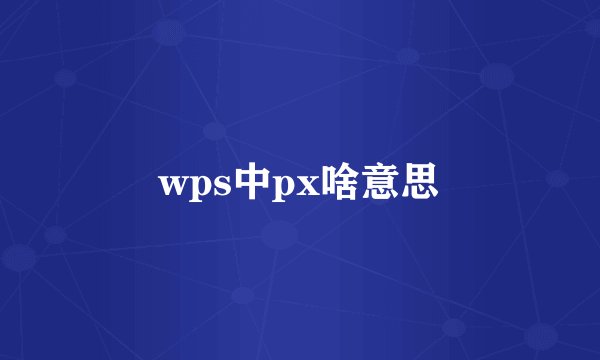 wps中px啥意思
