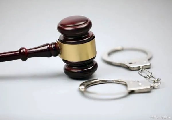 保姆被辞退后上门殴打雇主，保姆一家会承担什么样的法律后果呢？