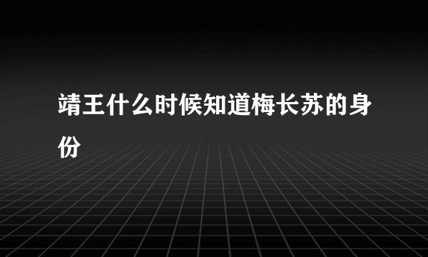 靖王什么时候知道梅长苏的身份