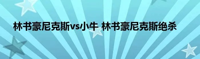 林书豪尼克斯vs小牛 林书豪尼克斯绝杀