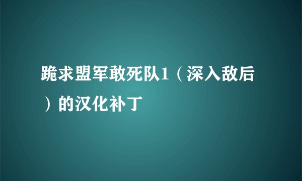 跪求盟军敢死队1(深入敌后)的汉化补丁