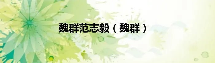 魏群范志毅（魏群）