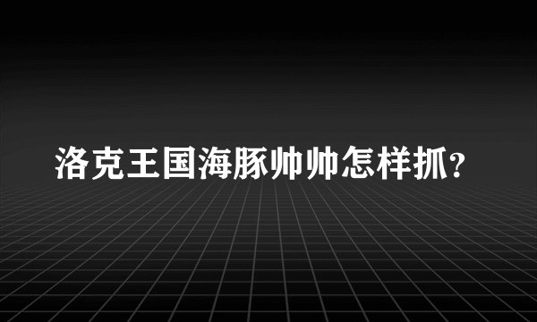 洛克王国海豚帅帅怎样抓？