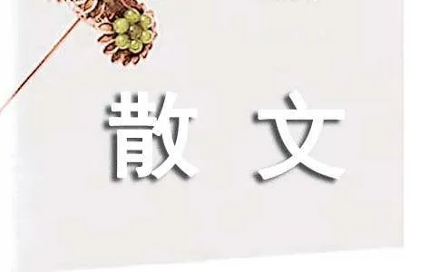 遗忘总是下一个遗忘的开始散文