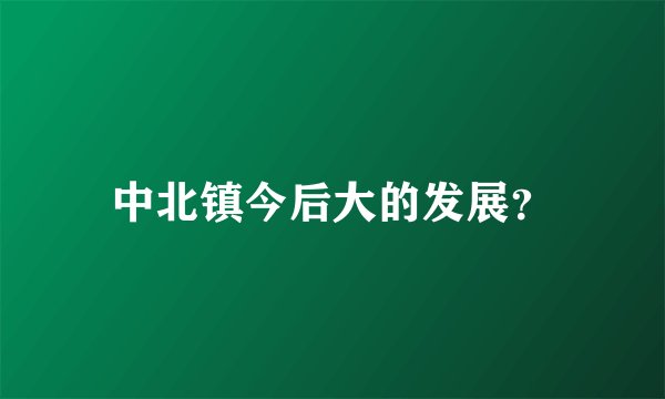 中北镇今后大的发展？