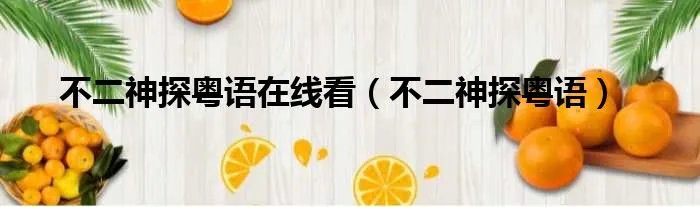 不二神探粤语在线看(不二神探粤语)