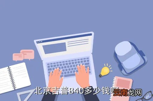 北京吉普b40价格，北京吉普B40多少钱啊