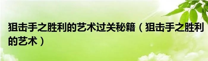 狙击手之胜利的艺术过关秘籍（狙击手之胜利的艺术）