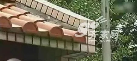 曝光:琼瑶阿姨5亿7层独栋庭院豪华别墅