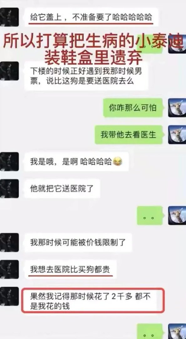 4分钟最新录音曝光：她彻底凉了！郑爽这次会坐牢吗？