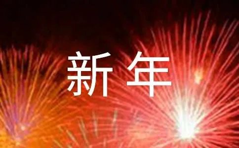 新年见闻作文