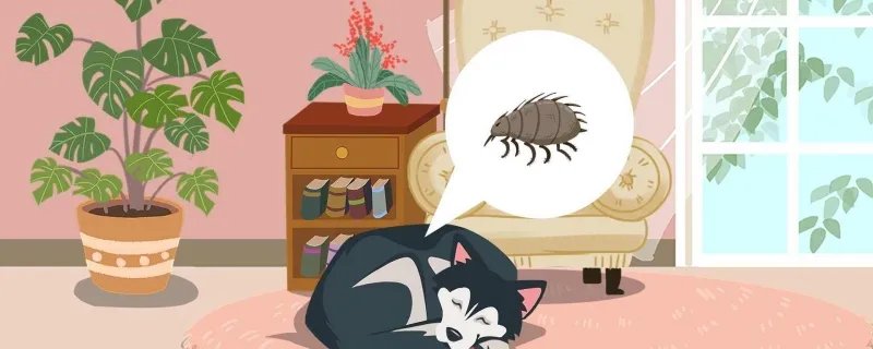 狗被蜱虫咬了会死吗