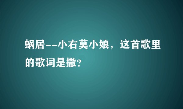 蜗居--小右莫小娘，这首歌里的歌词是撒？
