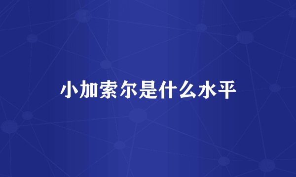 小加索尔是什么水平