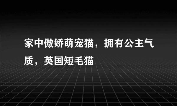 家中傲娇萌宠猫，拥有公主气质，英国短毛猫