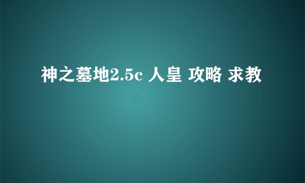 神之墓地2.5c 人皇 攻略 求教