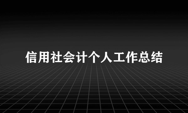 信用社会计个人工作总结