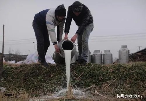 如何看待美国数十万加仑牛奶倒下水道?