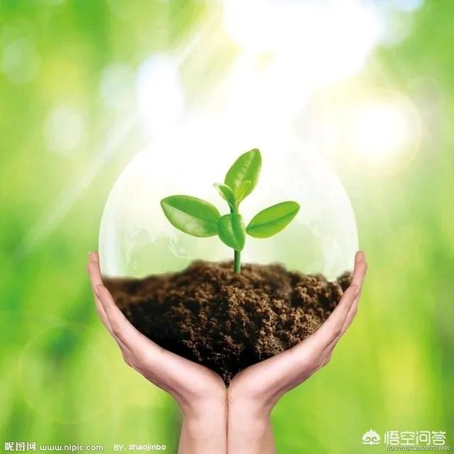 怎样才能不抑郁?