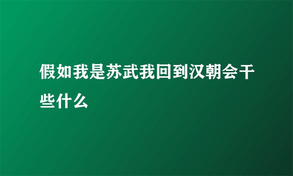 假如我是苏武我回到汉朝会干些什么