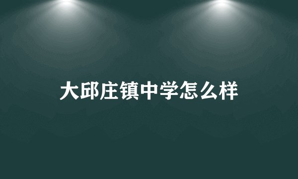 大邱庄镇中学怎么样