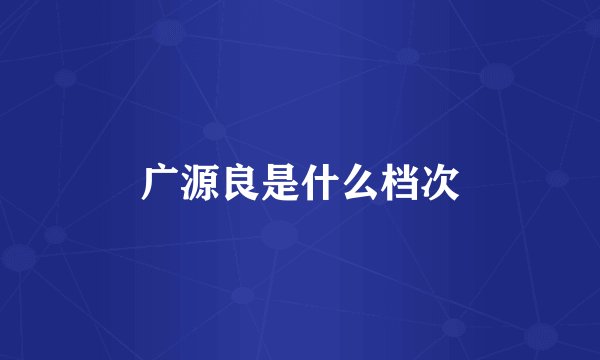 广源良是什么档次