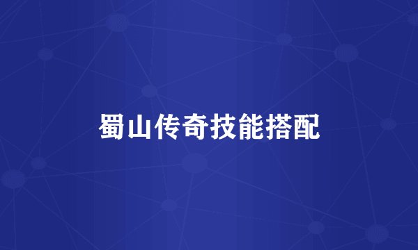 蜀山传奇技能搭配
