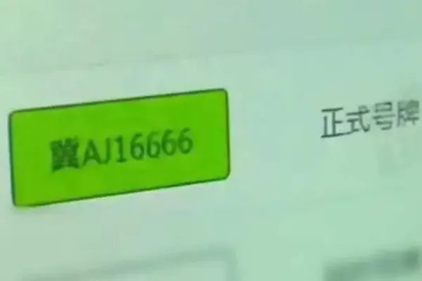 河北女子抽中尾号6666车牌离奇失踪,车管所是如何回应这件事的?