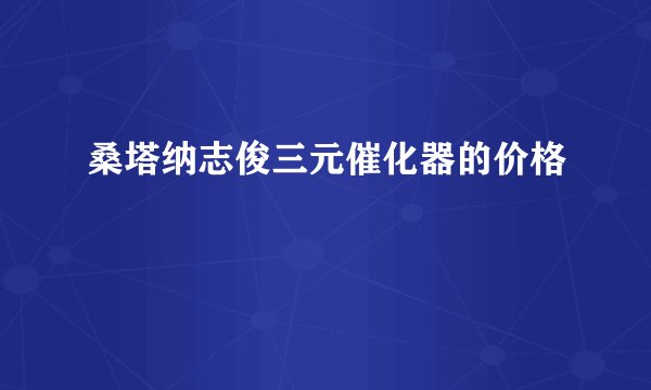 桑塔纳志俊三元催化器的价格