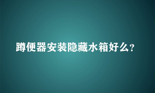 蹲便器安装隐藏水箱好么？