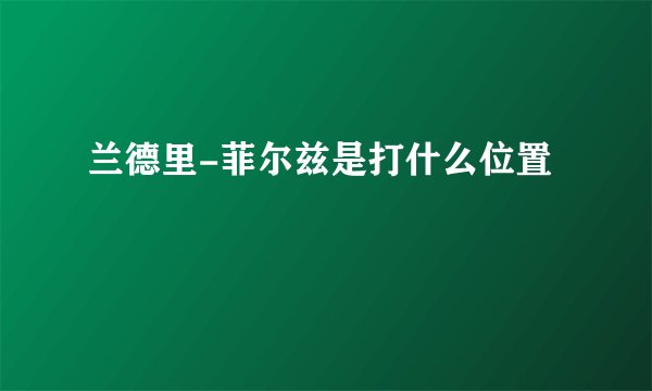 兰德里-菲尔兹是打什么位置